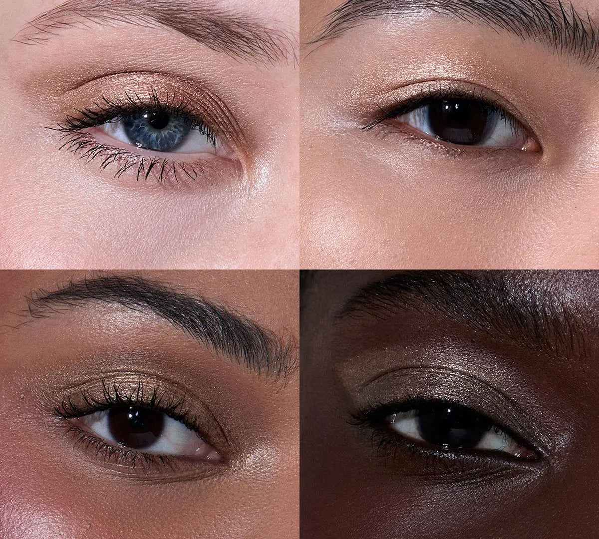 Just Cavalli X Kiko Milano Extreme Fierce Long Lasting Eyeshadow 01