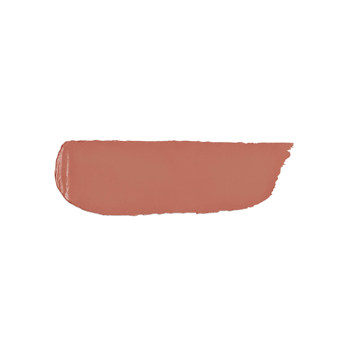 Velvet Passion Matte Lipstick 341