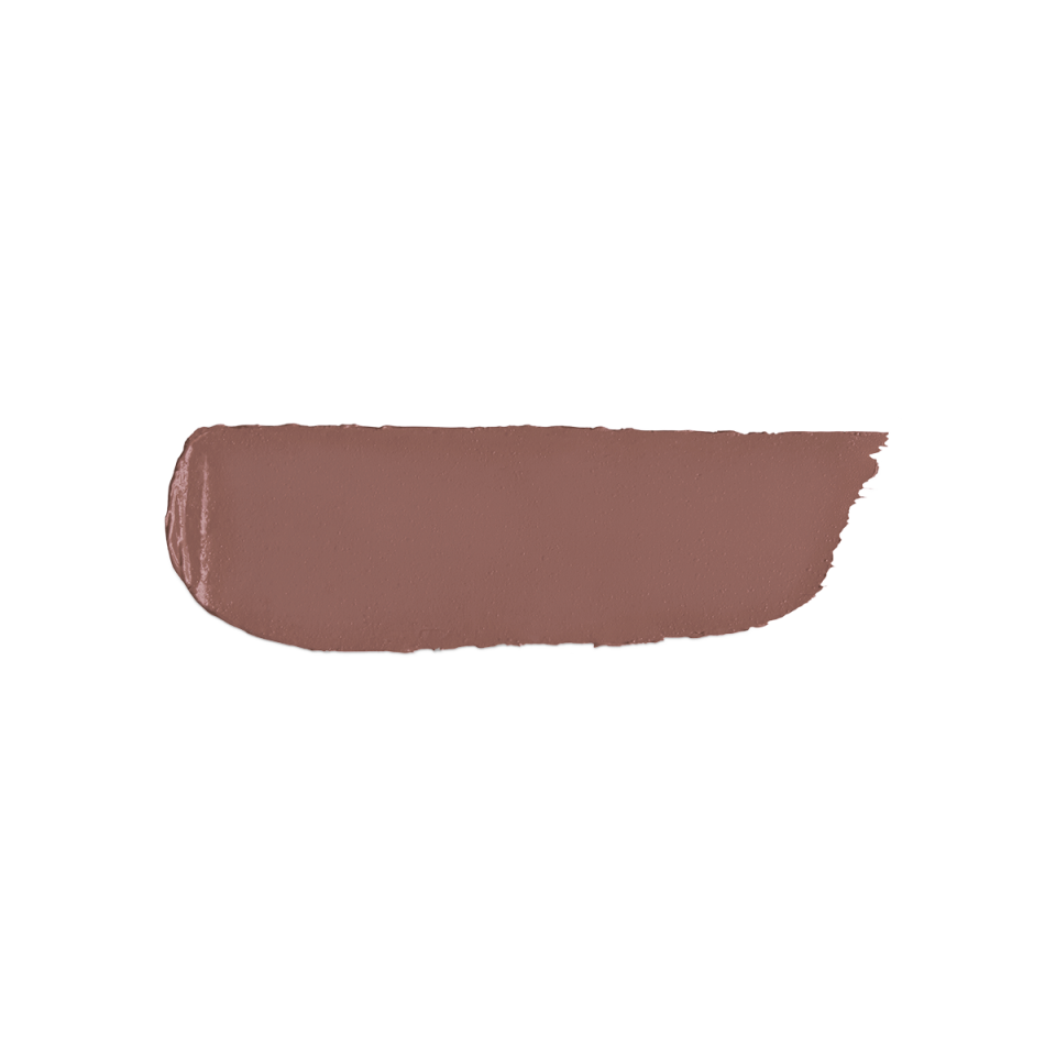 Velvet Passion Matte Lipstick 328
