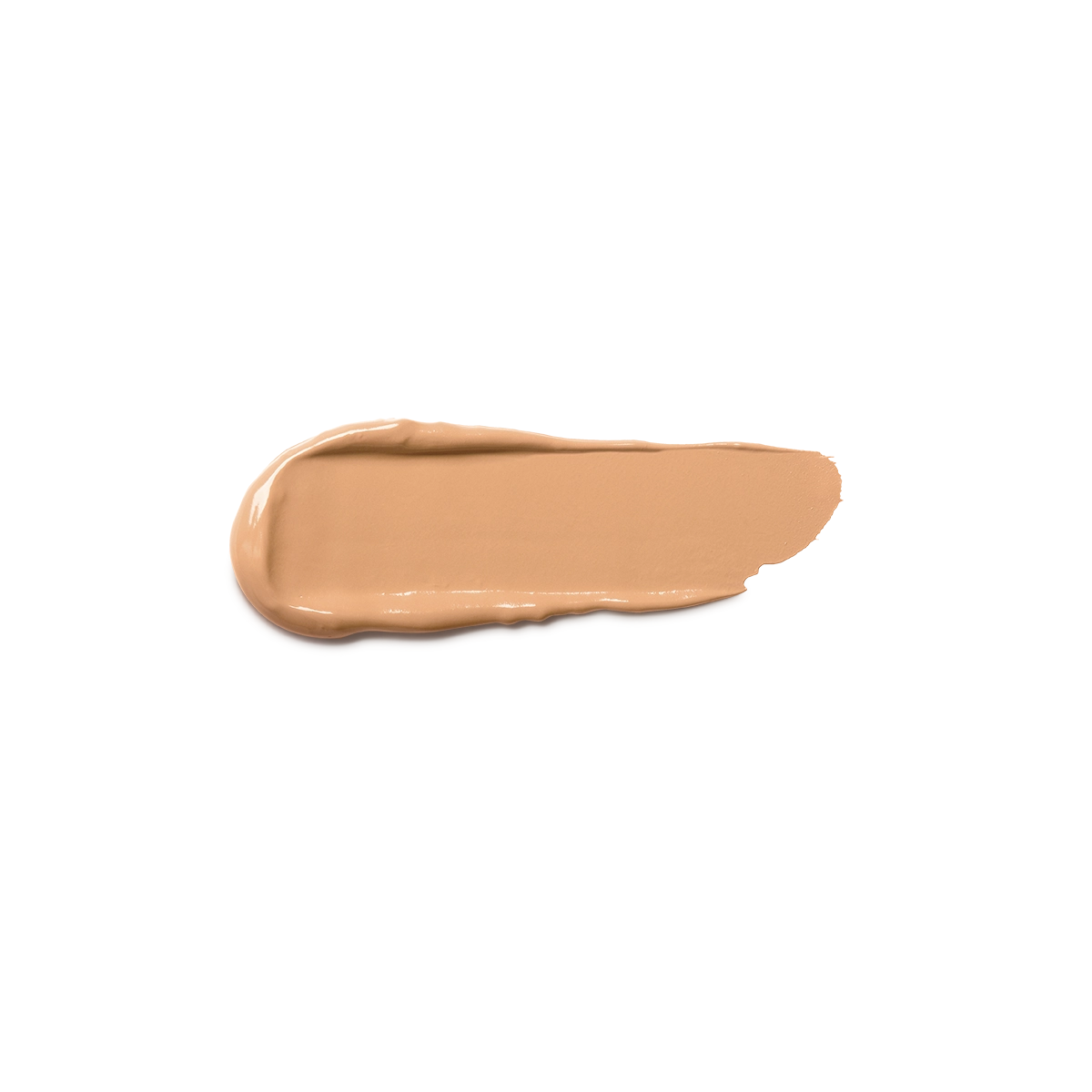Full Coverage 2-In-1 Foundation & Concealer 19 - N 65