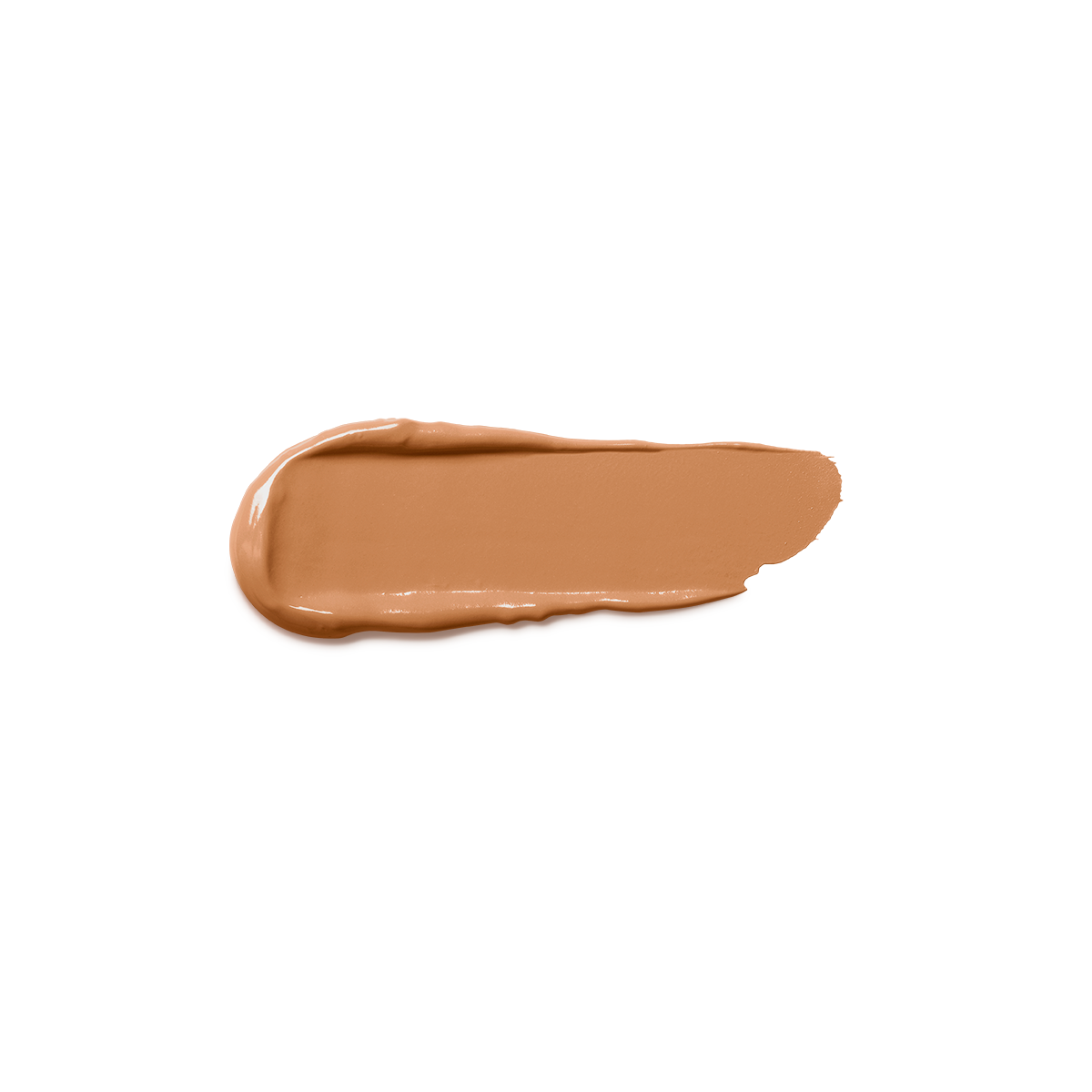 Full Coverage 2-In-1 Foundation & Concealer 49 - NG110