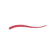 Everlasting Colour Precision Lip Liner 509