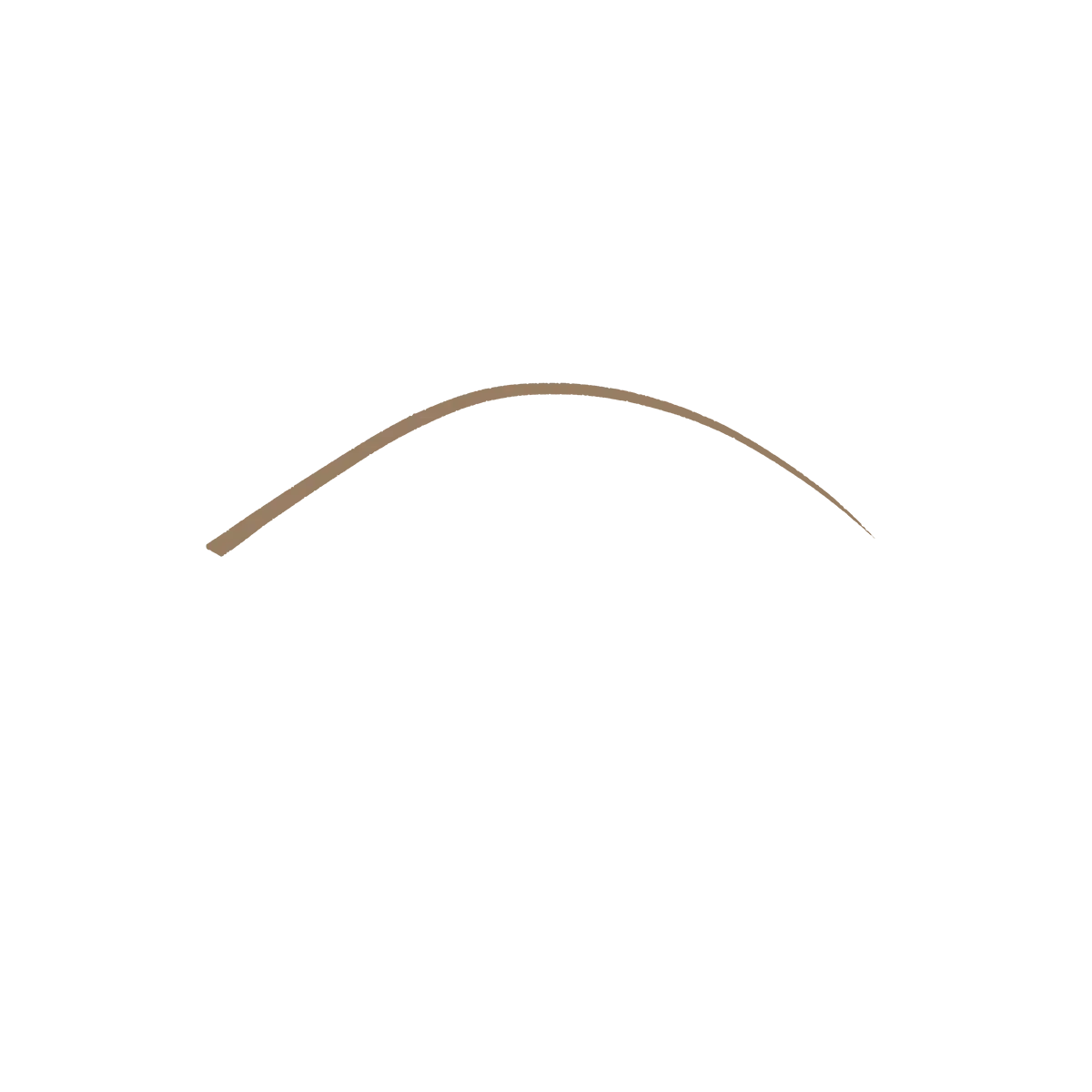 Micro Precision Eyebrow Pencil 01