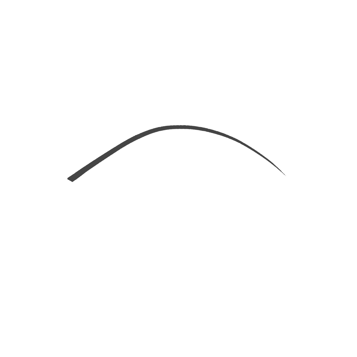Micro Precision Eyebrow Pencil 06