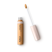 Love Fusion 24H Moisture Radiant Concealer 18