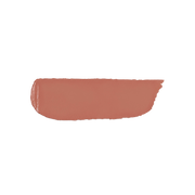Velvet Passion Matte Lipstick 341