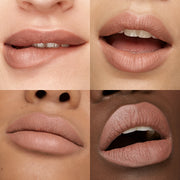 Velvet Passion Matte Lipstick 341